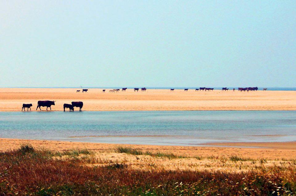 Ferreira Hostal Boutique Conil De La Frontera Zewnętrze zdjęcie